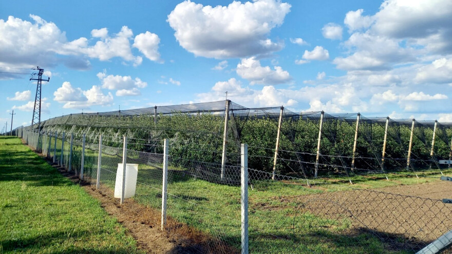 Objavljen natječaj: Za osiguranje usjeva, životinja i biljaka 200 milijuna kuna