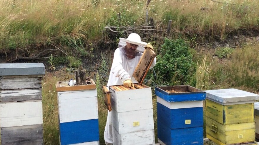 Iskusni pčelar i njegov komšija preživjeli ubode preko 300 pčela