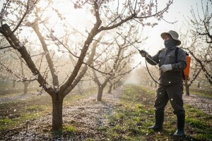 Napomene proizvođačima voća