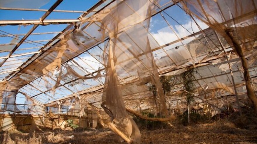 Naši napušteni plastenici poput aveti stoje