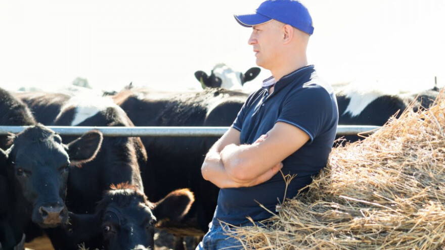 Izdan naputak stočarima o izravnoj dodjeli zemlje