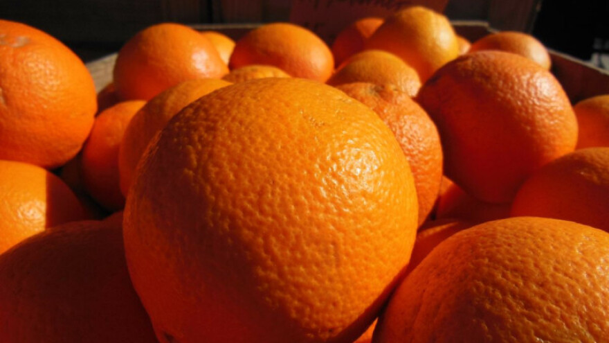 Prevelika proizvodnja ruši cijenu narandži?