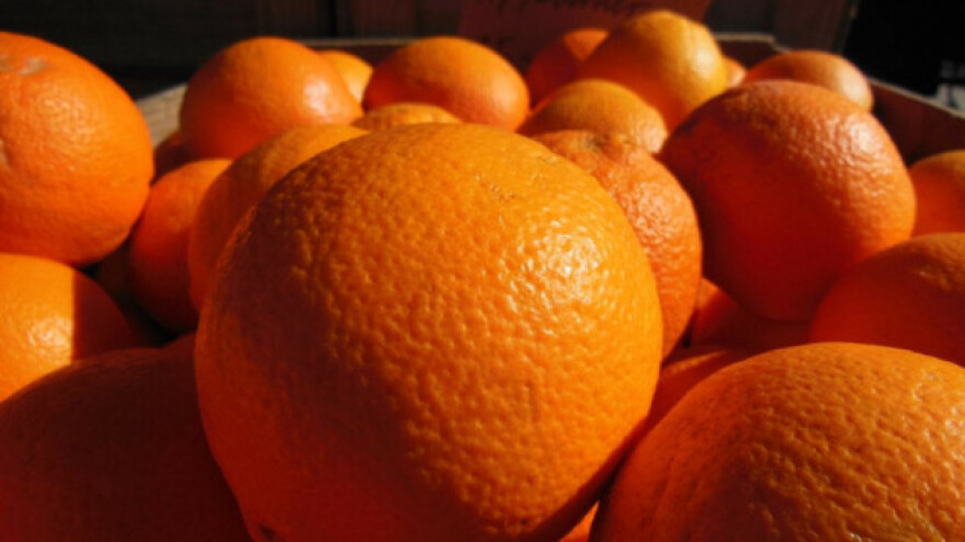 Prevelika proizvodnja ruši cijenu naranči?