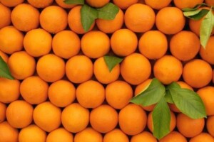 Mandarina i jagoda dobivaju nasljednike