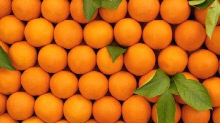 Mandarina i jagoda dobivaju nasljednike