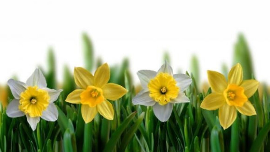 Jubilarna 5. Izložba cvijeća Zagrebačke županije