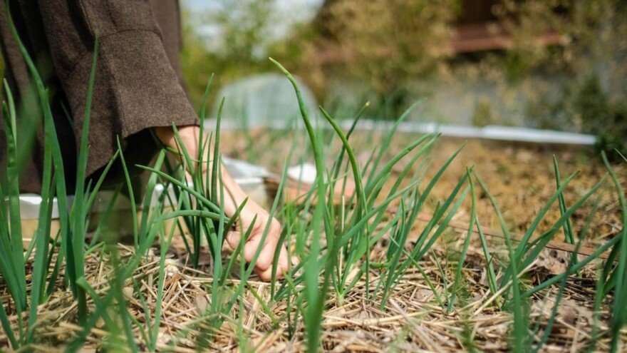 Sudjelujte na konferenciji Naša dobra hrana - razgovor o održivosti prehrambenog sustava
