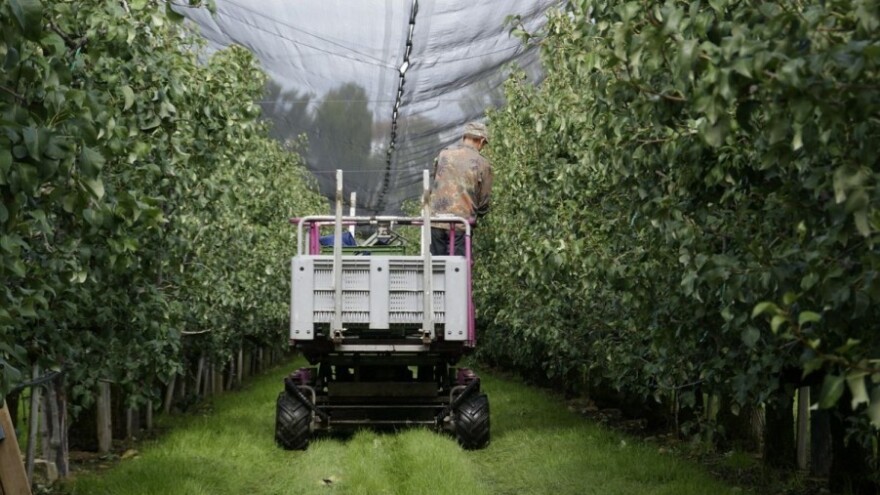 Zaštita voćaka na međimurskom području