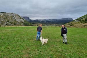 Naše trave interesantne i za istraživače sa Novog Zelanda