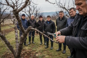 Naši voćarski prinosi i kvaliteta ne mogu pratiti proizvodnju EU