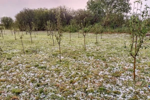 Nevreme na severu Srbije: Grad tukao sve pred sobom, načinjene velike štete