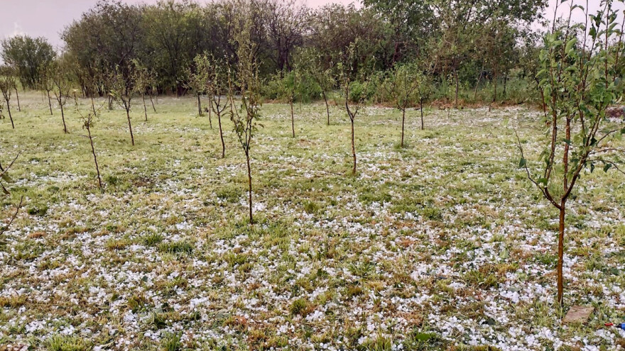 Nevreme na severu Srbije: Grad tukao sve pred sobom, načinjene velike štete