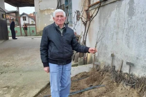 Više od pola veka proizvodi lozne kalemove