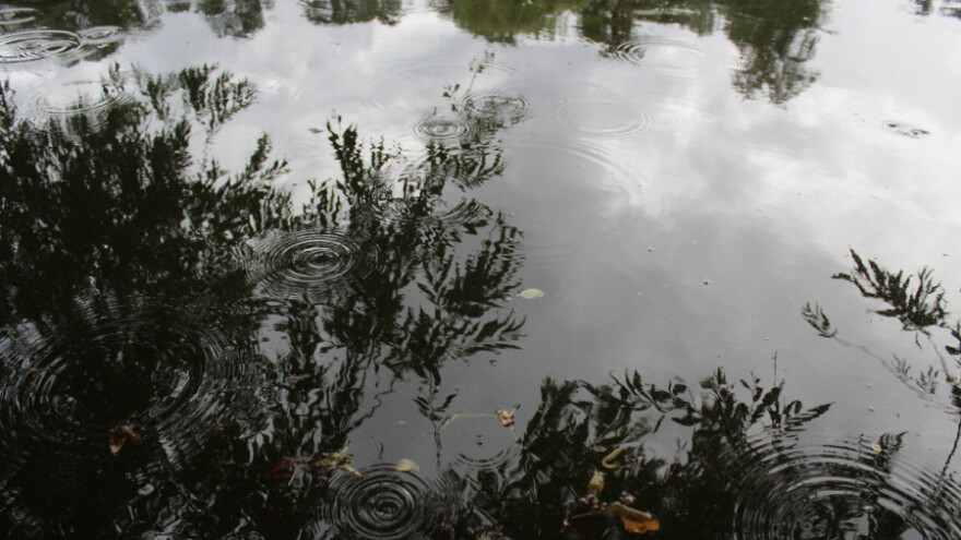 Kišnica - održivo zalivanje biljaka