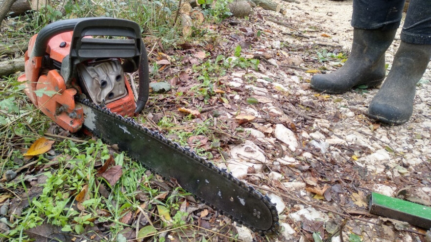 Od sečenja drva do intenzivne nege: Nesreća u ivanjičkoj šumi