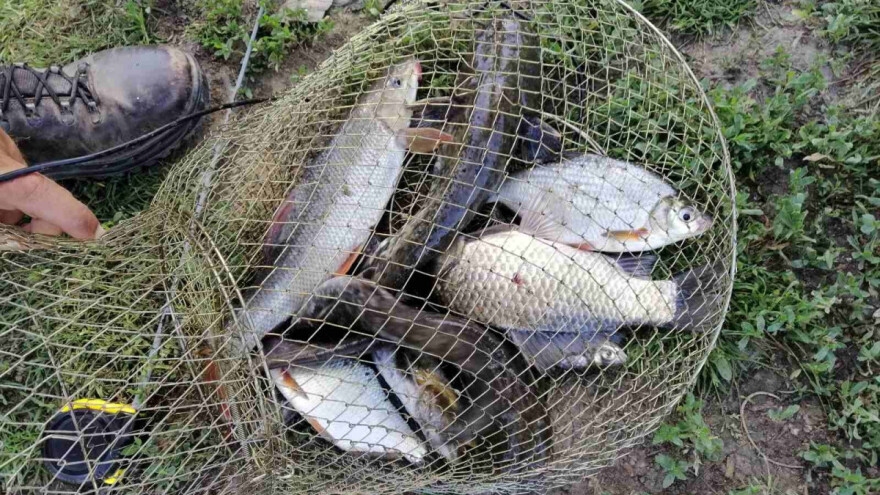 Vodostaj reka blago u padu, ribokradice aktivne