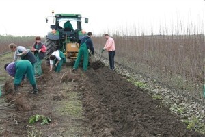 Kriza i štednja smanjile ponudu poslova za sezonce u poljoprivredi