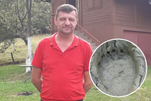 Mrka medvjedica u Pruscima usmrtila pet ovaca i dvoje jagnjadi
