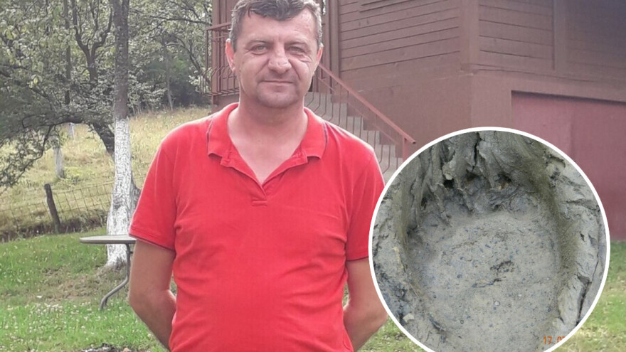 Mrka medvjedica usmrtila pet ovaca i dvoje janjadi