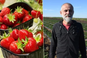 Isti grad, isti proizvod, dve cene? Od čega to zavisi?