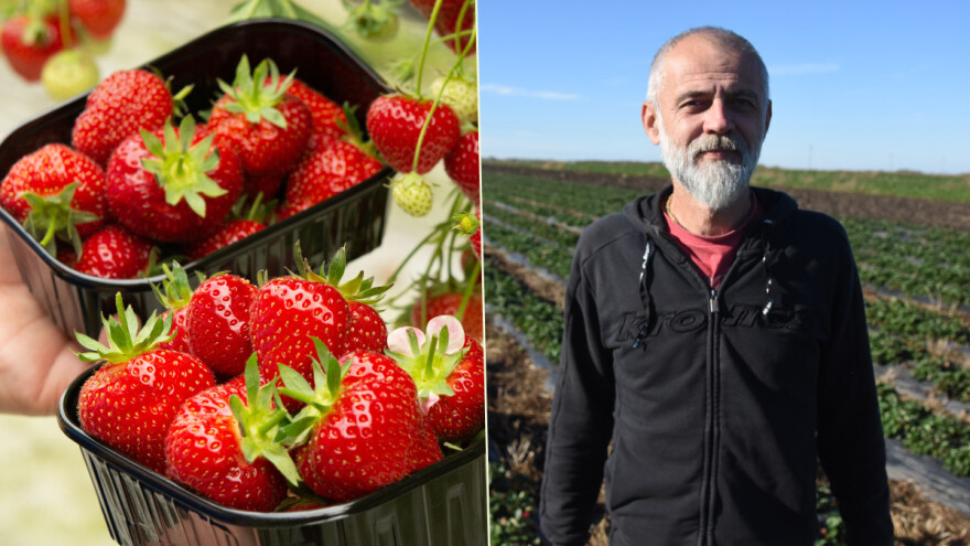 Isti grad, isti proizvod, dve cene? Od čega to zavisi?