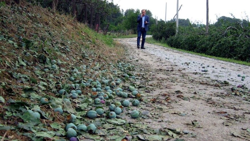 Topola: Nemilost neba košta 20 miliona evra