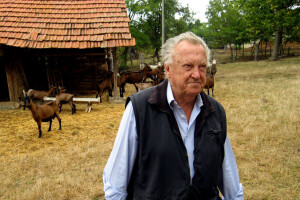 Doktor veterine u desetoj deceniji čuva koze i pravi sir!