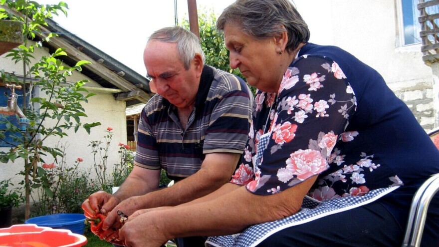 Domaćinstvo porodice Ranitović sve proizvode i prerađuju - isplativije je!