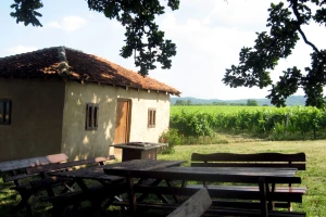 Gosti više vole da rade nego da odmaraju