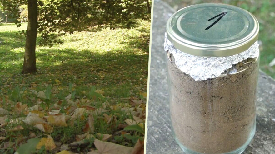 U gradskoj sredini nađen čitav Periodni sistem elemenata. Da li je to opasno?