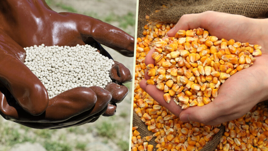 Robne rezerve raspisale dva poziva: Kukuruz za stoku i đubrivo za žitarice