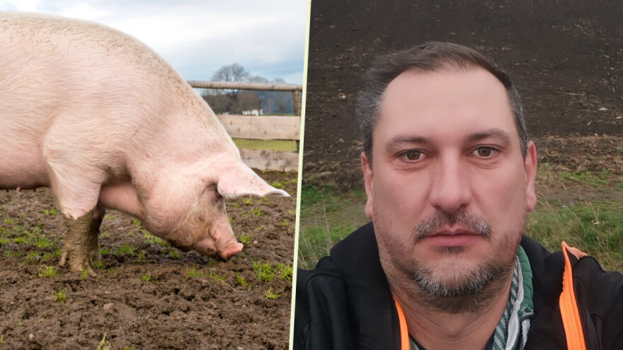 Odbijen za subvencije za krmače, tužio, dobio presudu, ali se proces ponavlja?