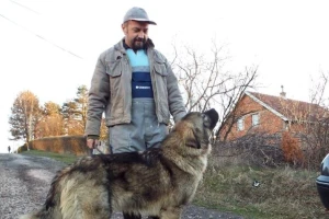 Kada hobi sa životinjama postaje zadovoljstvo?