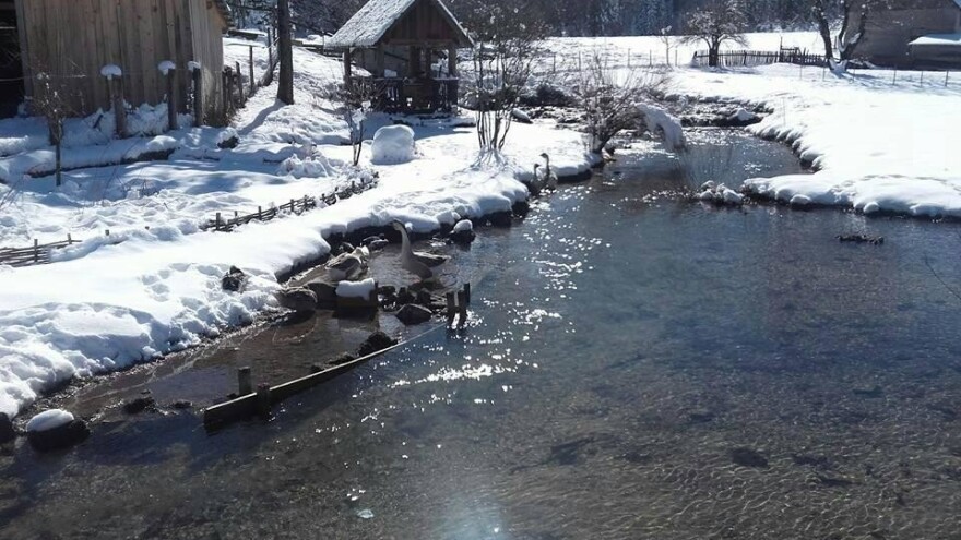 Mijenja li kriza način poslovanja na koji smo navikli?