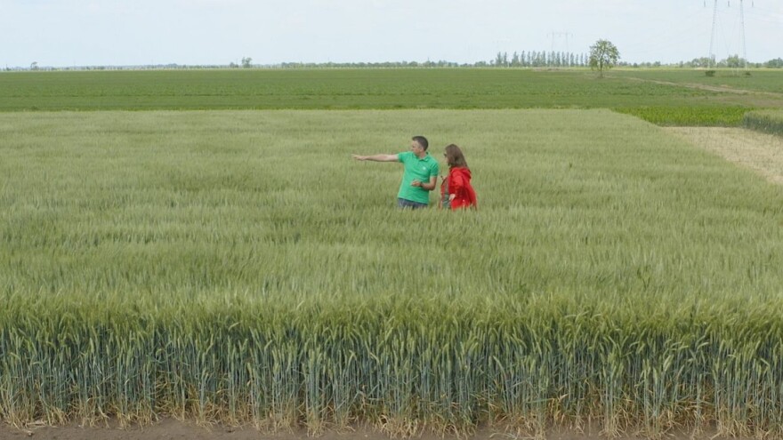 Bayer Farm: Otkrijte najbolja rešenja protiv korova do 5. jula na virtuelnom Danu polja