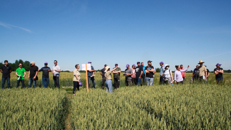 RWA Hrvatska: Sofru je zaslužila titulu vladarice naših polja