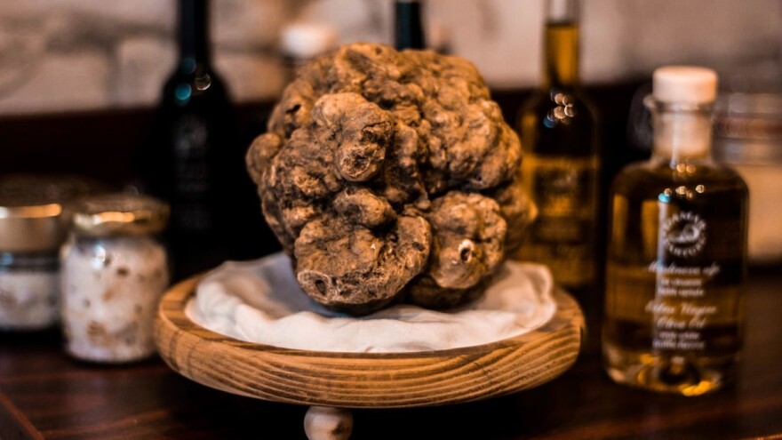 Izvoz srpskih tartufa moguć, ali problem stranci koji kupuju na crno