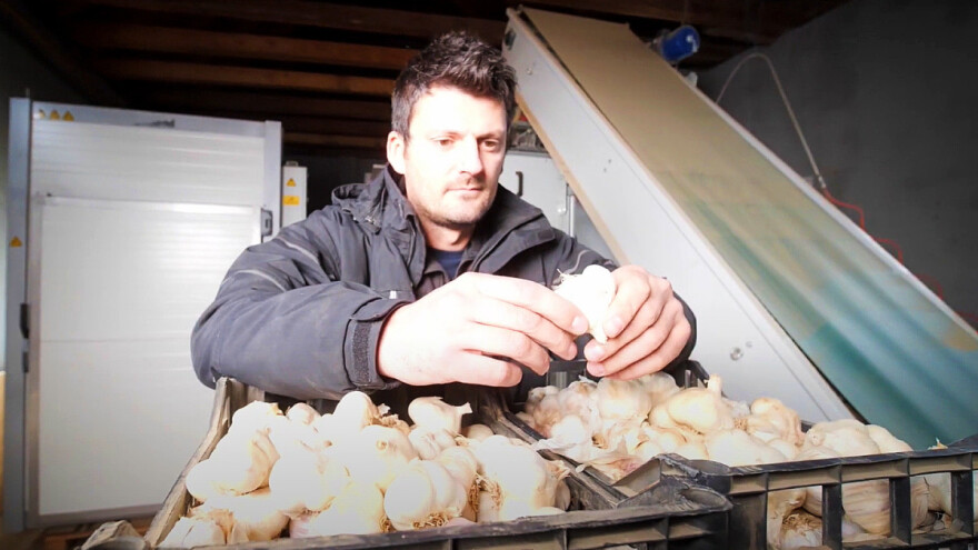 Srijemski crni češnjak: Marijan Balić u novoj pustolovini