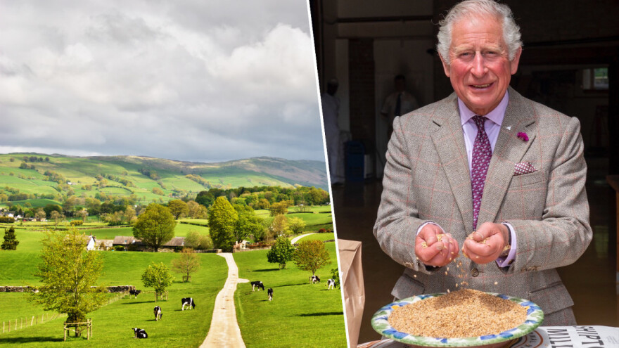 Princ Čarls upozorava na gubitak porodičnih poljoprivrednih gazdinstava