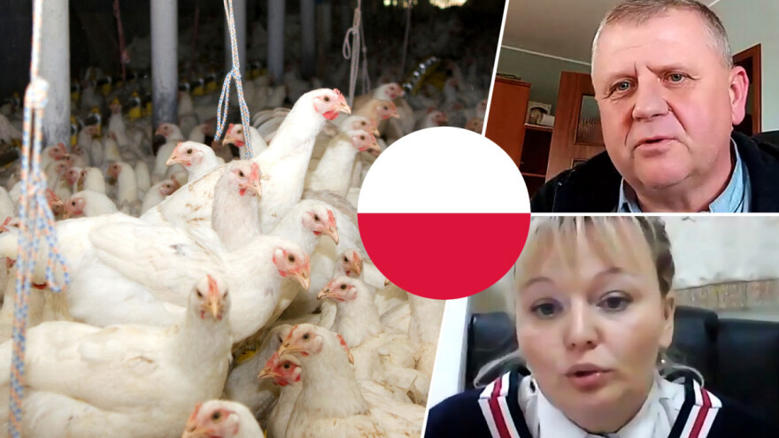 Poljski recept za konkurentnost: Dobra organizacija, udruživanje i edukacija