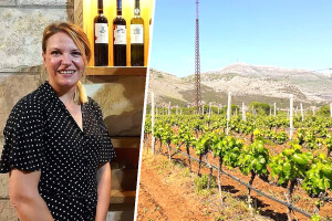Jedina žena vinar u BiH: Uspjeli smo zadržati poziciju na tržištu, ali je prodaja opala