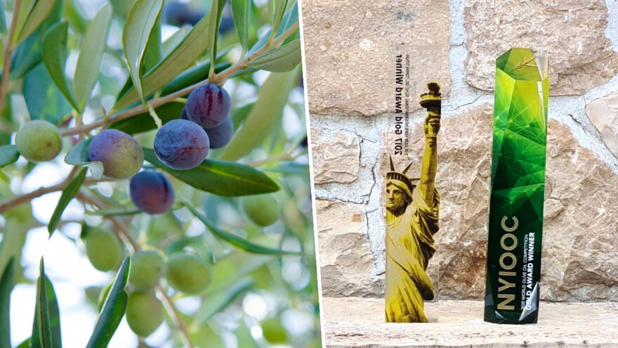 Hrvatski maslinari moraju platiti carinu za medalje osvojene u New Yorku!?