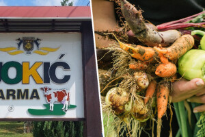 Organsko u Prnjavoru: Farma Jokić sertificira i stočarsku proizvodnju te preradu žitarica