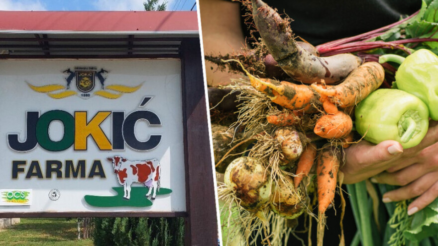 Organsko u Prnjavoru: Farma Jokić sertificira i stočarsku proizvodnju te preradu žitarica