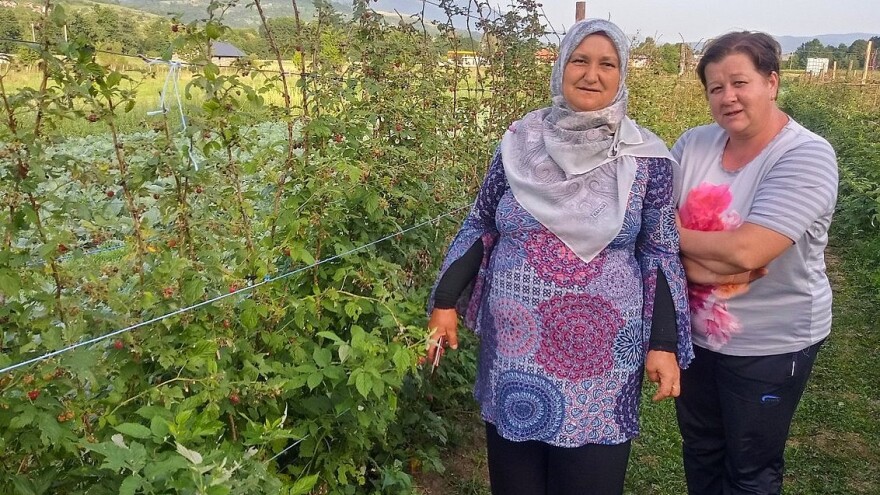 Grad stukao Dražev Dolac: Uništilo im maline, povrće, a šljive kupili lopatom