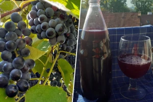 U periodu virusa, dosta pomaže i domaći sok od grožđa