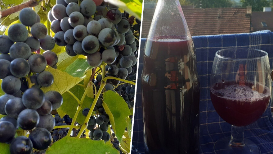 U periodu virusa, dosta pomaže i domaći sok od mirisavke