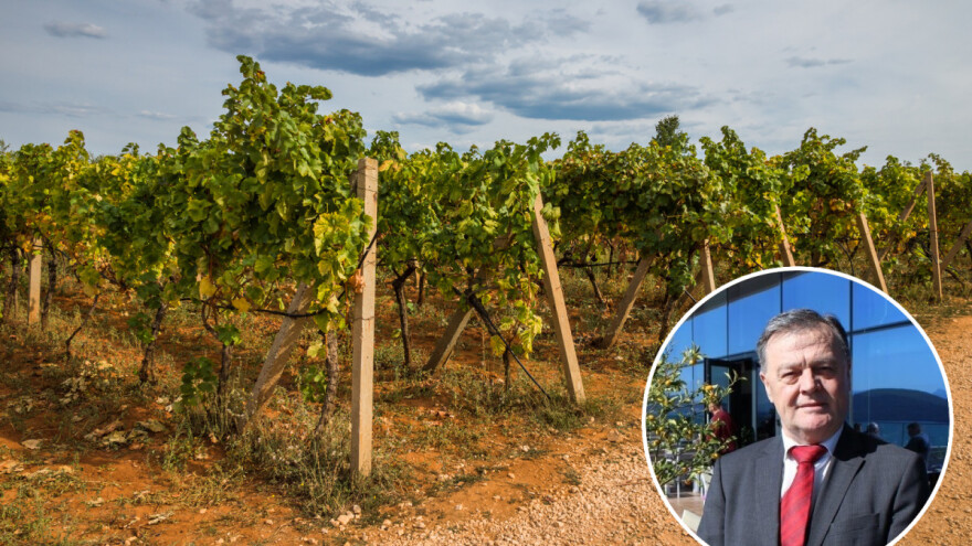 Prof.dr.sc. Marko Ivanković: 2021. bi mogla biti godina za pamćenje