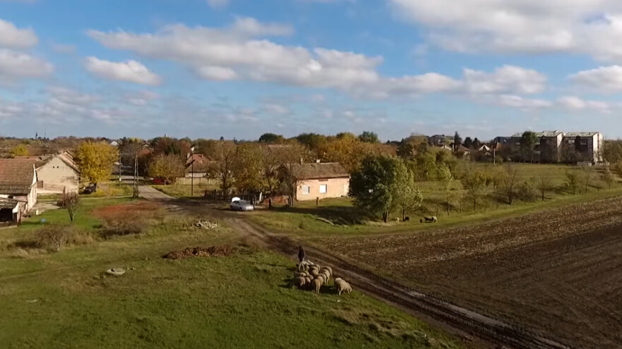 Ovčarstvom nije ništa dobio, ali je zadovoljan - kako?