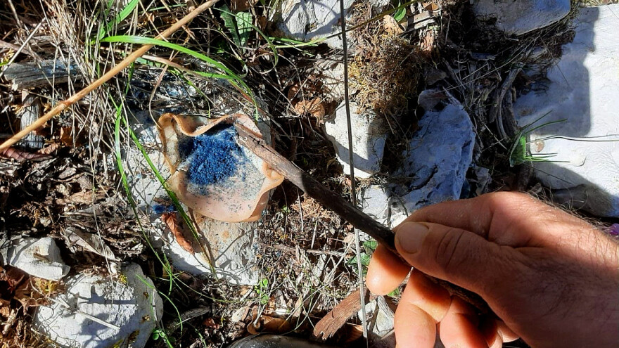 Prijavljen niz uginuća lovačkih pasa - tko ostavlja otrovne mamce po Biokovu?